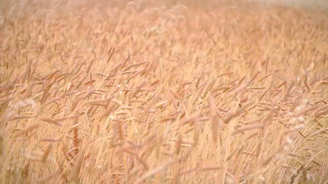 On a 20 ans pour changer le monde