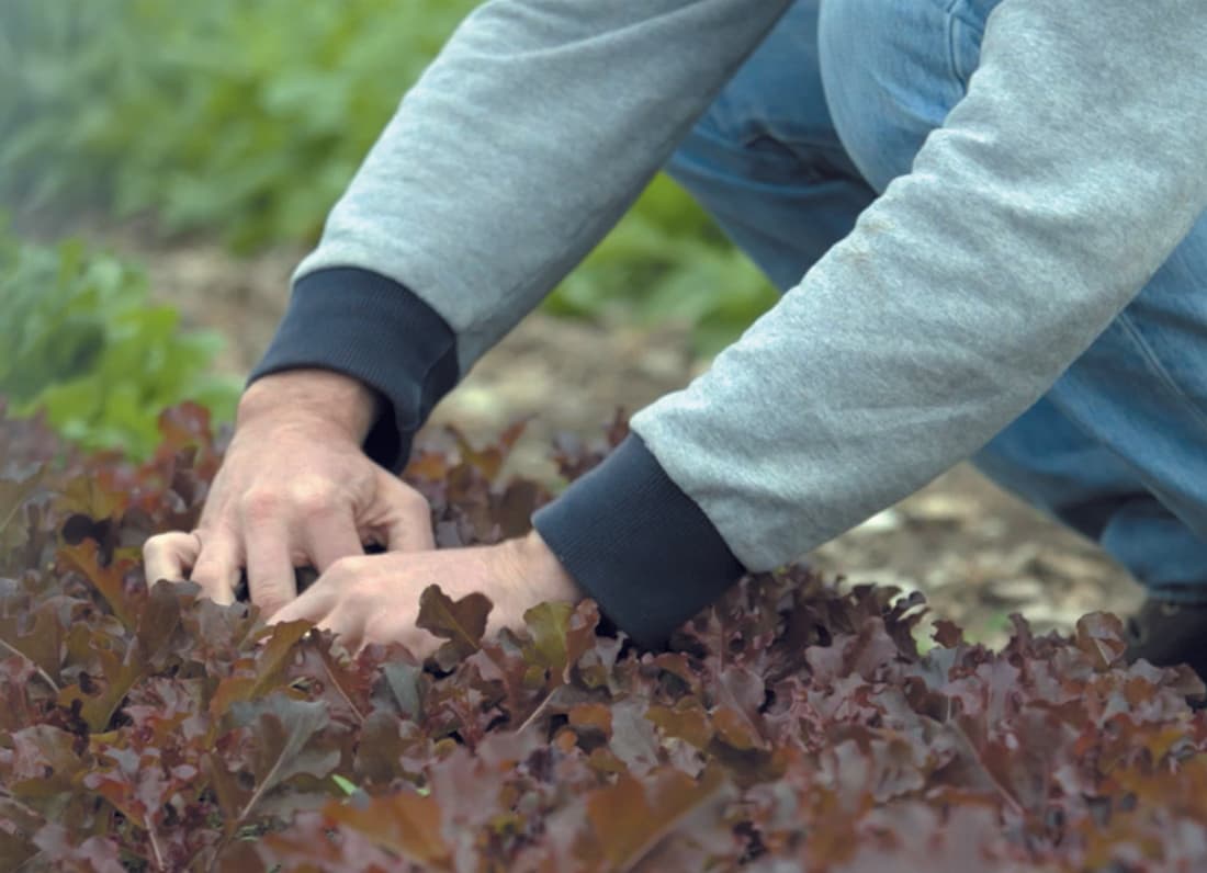 On a 20 ans pour changer le monde